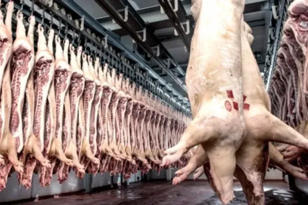 EL HISTÓRICO SALTO DE LA  CARNE PORCINA EN PARAGUAY