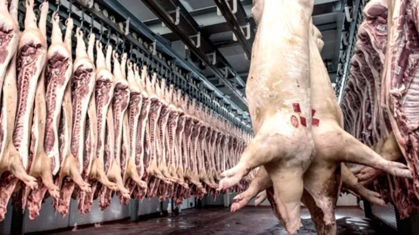 EL HISTÓRICO SALTO DE LA  CARNE PORCINA EN PARAGUAY